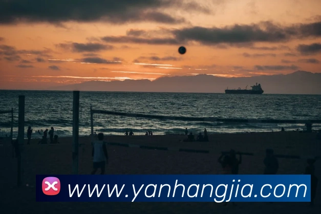 必一运动体育app官网平台生态图